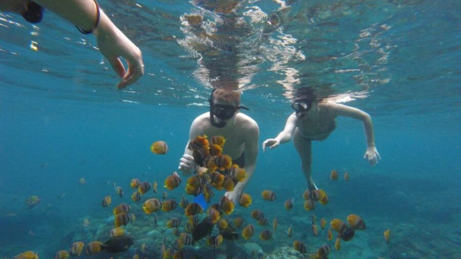 Nusa Penida: Snorkeling 3 Spots With Manta Options - Good To Know