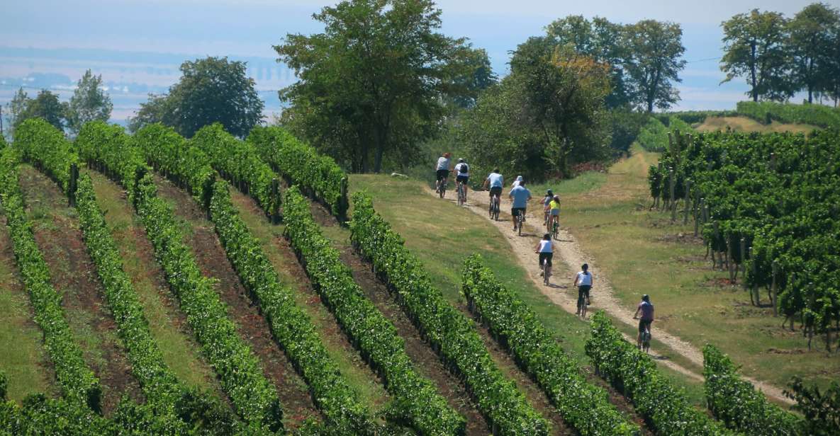 One Day Wine Route by Bike - Good To Know