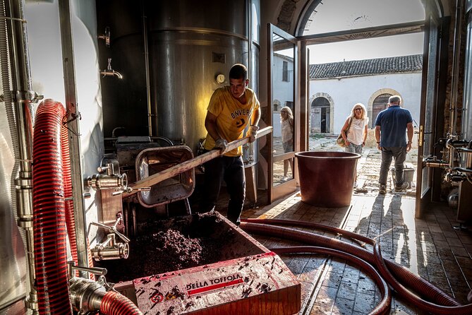 Organic Wine Tasting at Our Historic Cantina - Organic Wine Selection