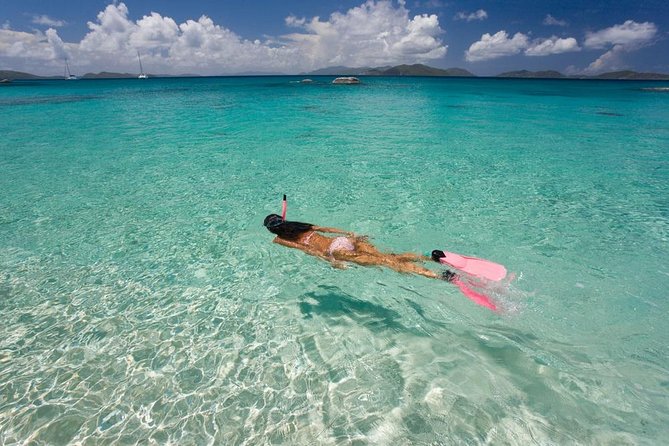 Palm Pleasure Morning Snorkel Adventure - Crowdedness