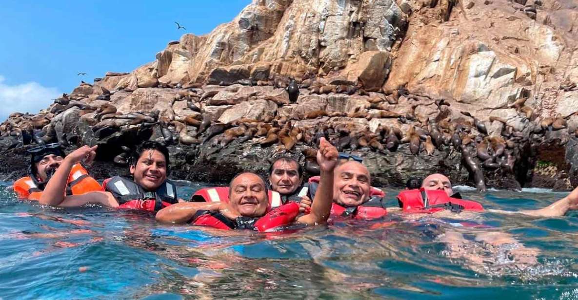 Palomino Islands Speedboat Excursion & Swim With Sea Lions - Activity Details
