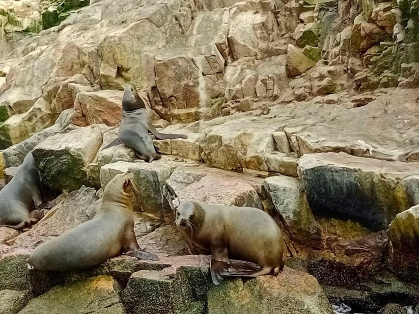 Paracas: Ballestas Islands & Paracas National Reserve - Inclusions