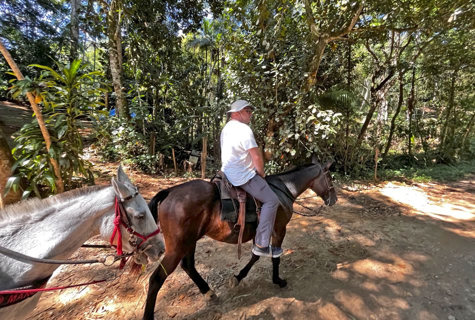 Paraty: 3-Hour Rainforest Horseback Ride - Good To Know