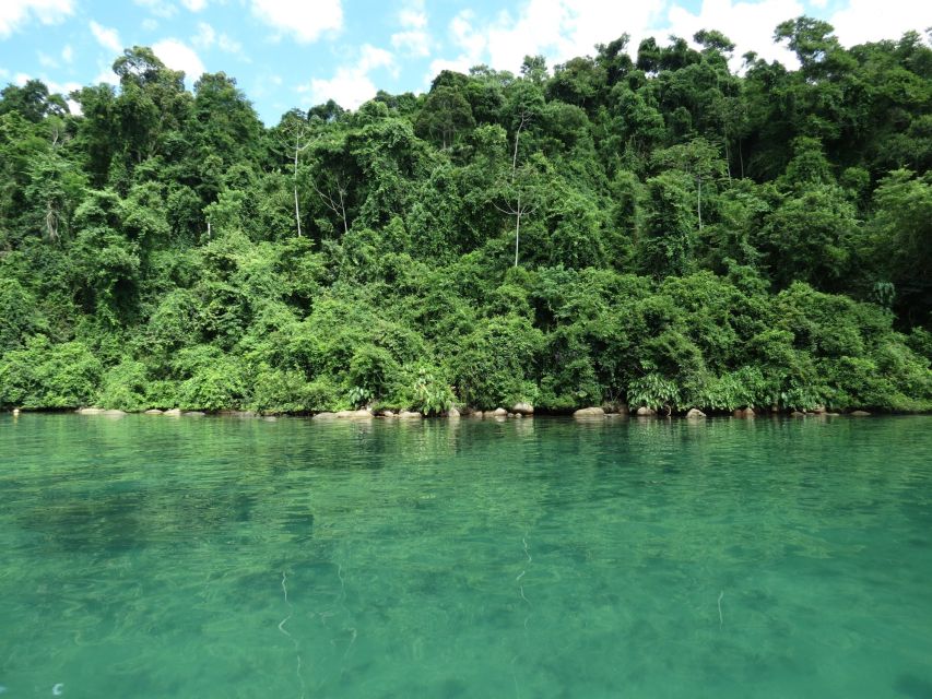 Paraty: Jeep Tour Waterfalls With Cachaça Tasting - Good To Know