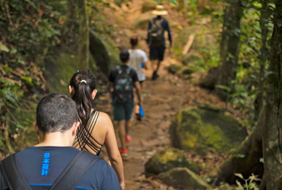 Paraty: Sono Beach Half-day Tour - Language Options