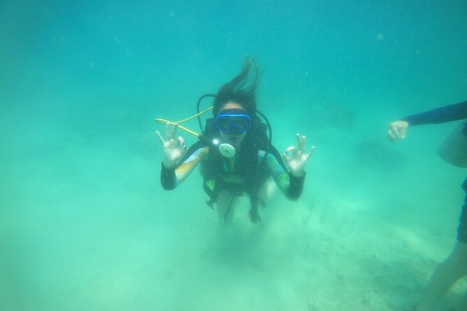 Playa Blanca Barú Diving Adventure With Lunch - Health and Safety Guidelines
