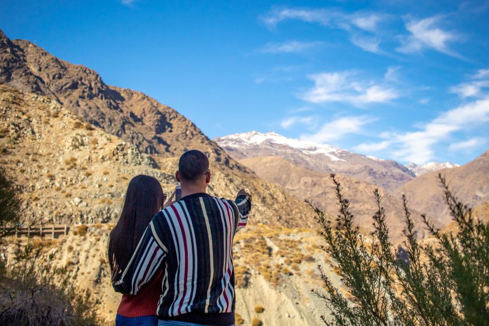 Portillo and Laguna Del Inca Tour - Experience Description