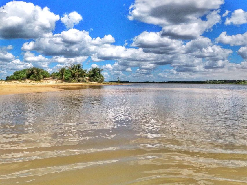 Preguicas River Speedboat Tour - Booking Information