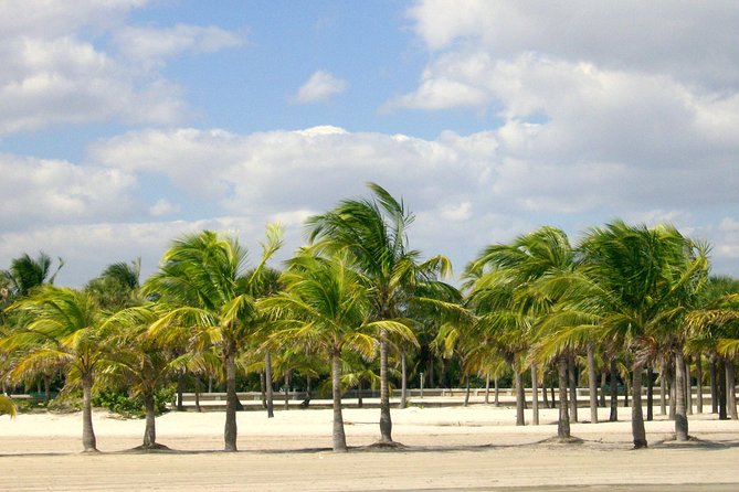 Private 8-Hour City Tour of Miami With Private Driver/Guide With Hotel Pick up - Tour Overview