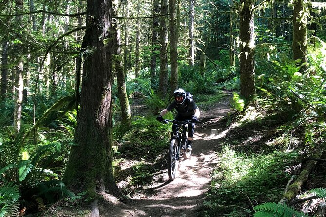 Private Adventure Mountain Biking in Seattles Eastside - Tour Highlights