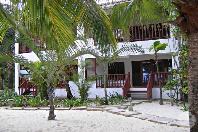 Private Airport Transfer to Couples Swept Away Resort Negril - Overview of the Experience