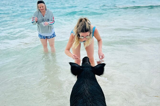 PRIVATE - All Inclusive Swimming Pigs, Snorkel & Lunch - Location Details