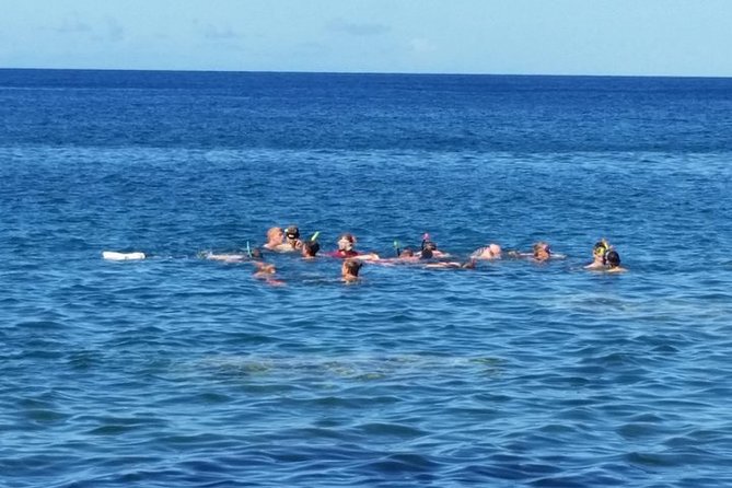 Private Captains Most Popular Snorkeling and Beach Day With Lunch - Pricing and Booking Information