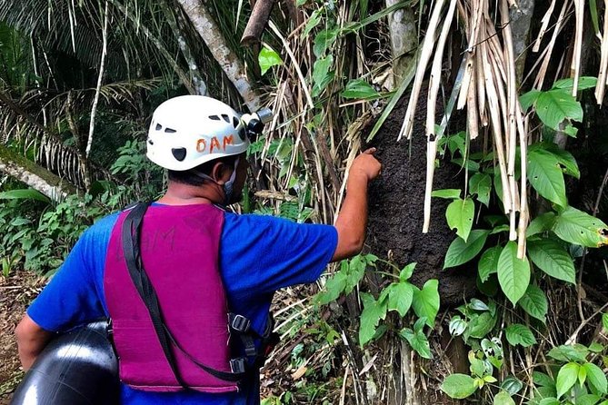 Private Cave Tubing and Zip Line Adventure Shore Excursion Tour Belize