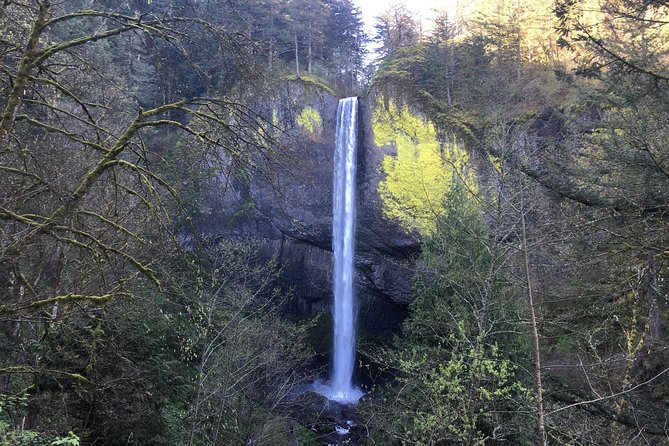 Private - Columbia River Gorge Waterfalls and Wine Tour - Tour Highlights