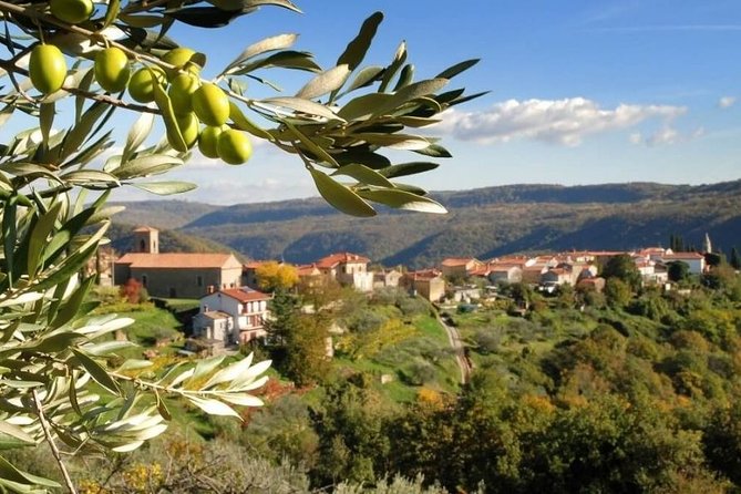 Private Day Tour in Slovenian Countryside - Itinerary Overview
