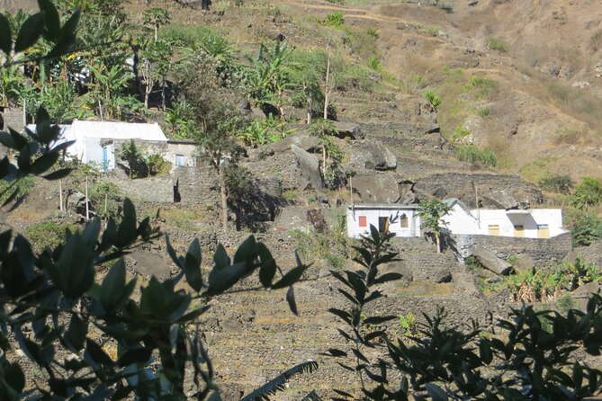 Private Day Trip to Santo Antao With Lunch - Lunch Details