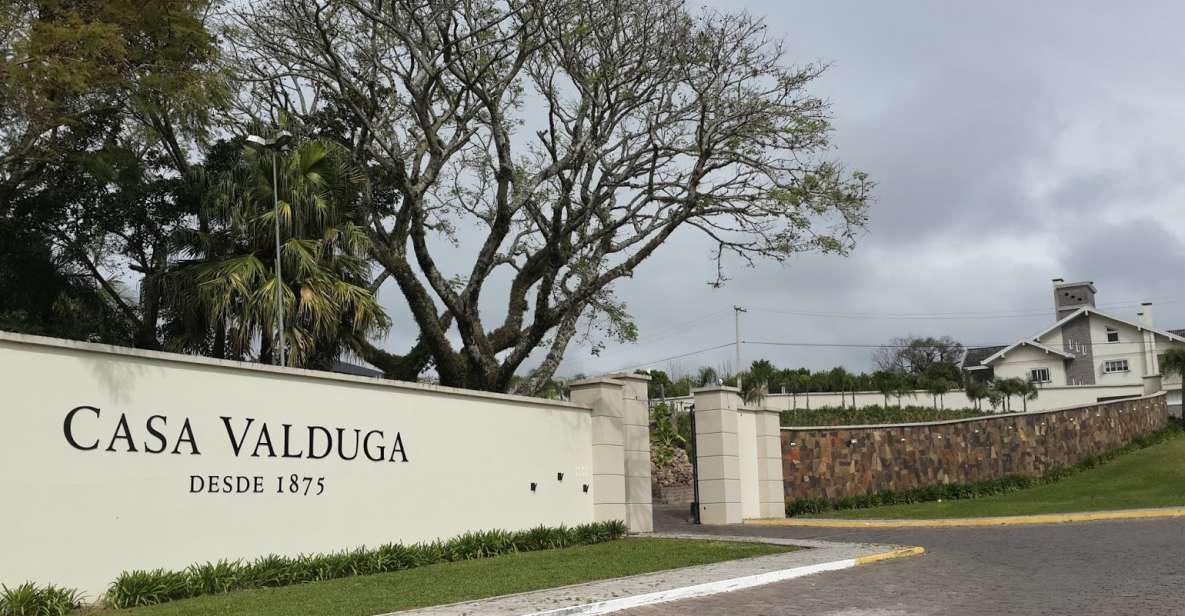 Private Day Trip to Vale Dos Vinhedos! - Good To Know