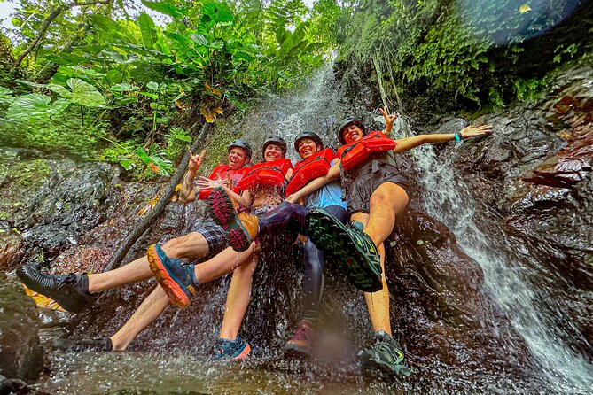 (Private) El Yunque Tour - Transportation Included / 7am-12pm or 12pm-5pm - Tour Conditions and Cancellation Policy