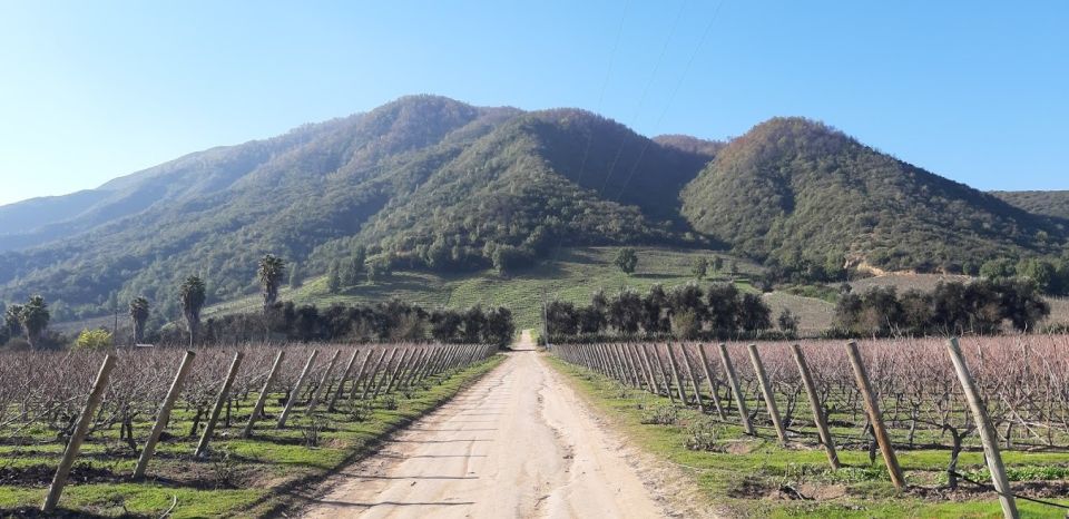 Private Full-Day Wine Tasting Tour in Colchagua Valley - Good To Know