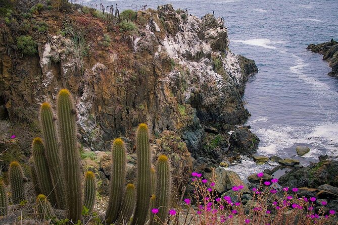 Private Garden Tour in Central Coast of Chile With Lunch Included - Good To Know