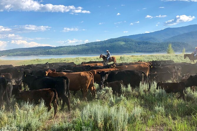 Private Horseback Riding in Wyoming - Cancellation Policy