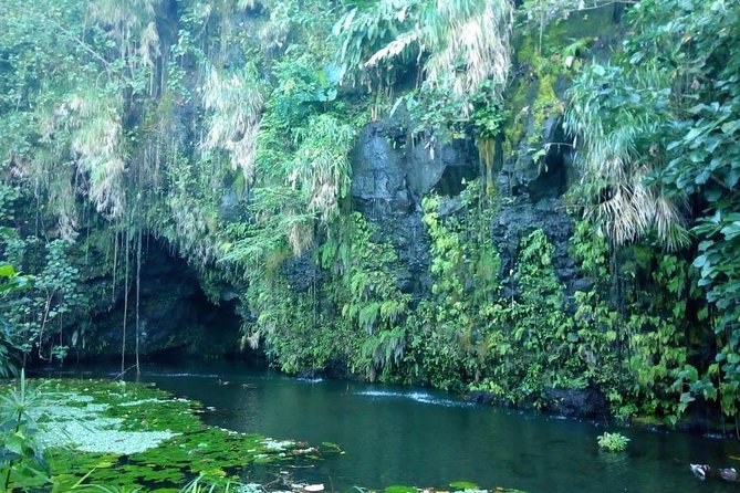 Private Island Tour - Tour Guide Qualities