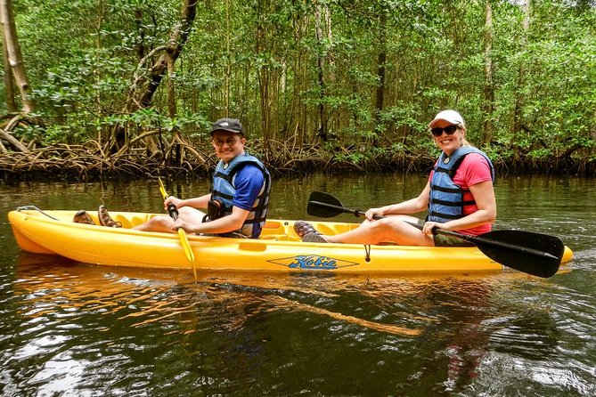 Private Kayaking in Los Haitises 4 Hours With Local Expert Guide. - Wildlife Encounters