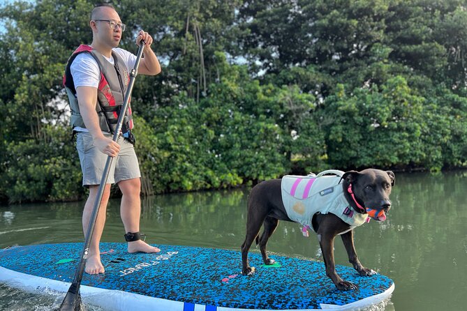 Private Paddle Boarding in Haleiwa With Rescue Dogs - Inclusions