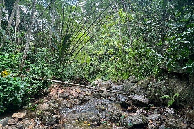 Private Rainforest Hike to Hidden Waterfall Tour With Transport - Pricing and Miscellaneous Information