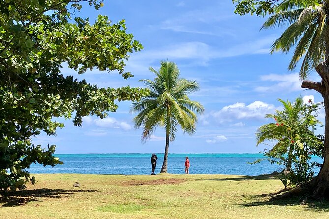 Private TAHITI Half Day Circle Island Tour (Departs 8am or 1pm) - Cancellation Policy and Traveler Reviews