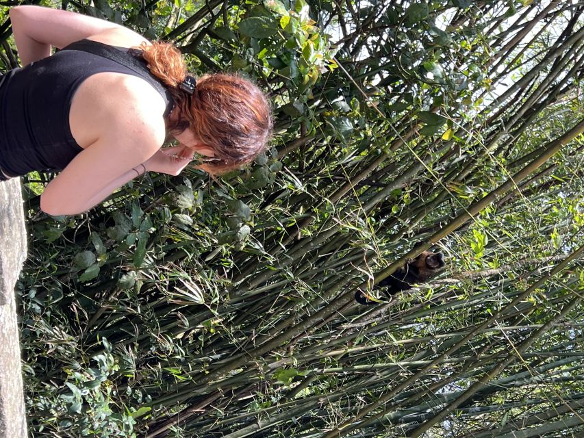 Private Tijuca Forest & Botanical Garden Guided Tour - Experience Highlights