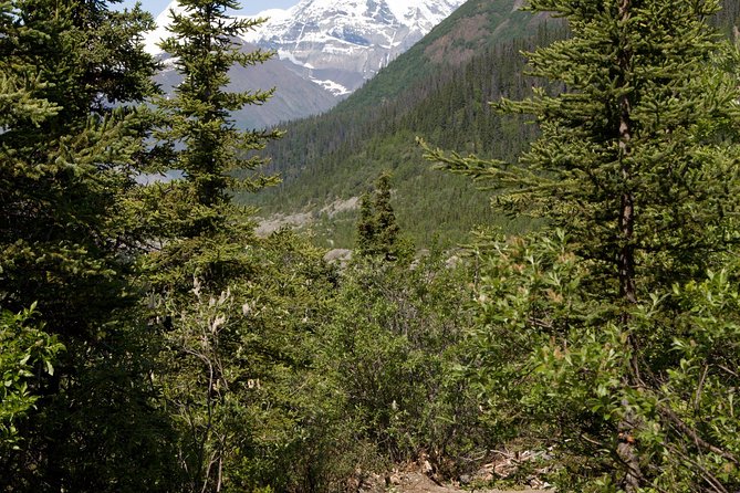 Private Tour: Chugach State Park Hiking Tour From Anchorage - Tour Benefits