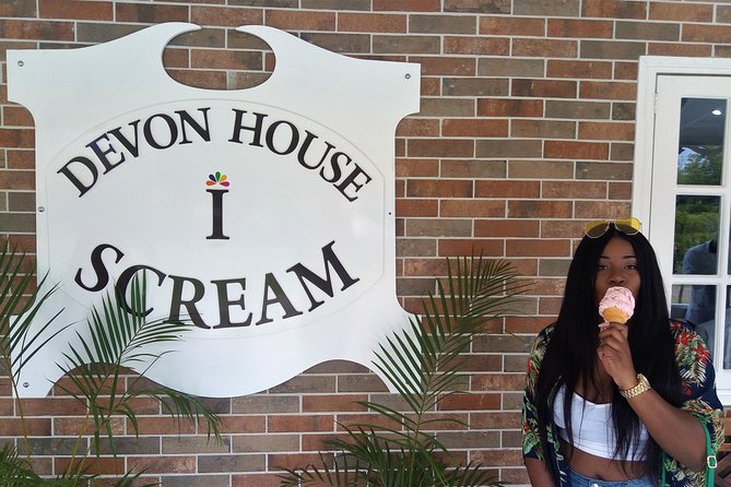 Private Tour: Day Trip to Kingston From Ocho Rios - Itinerary Overview
