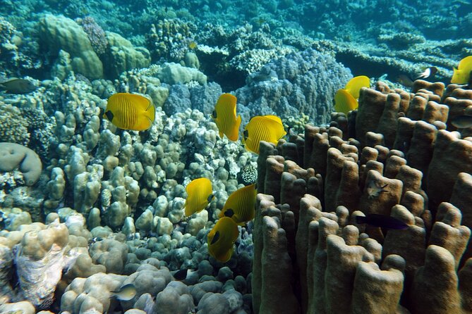 Private Tour History, Local Food and Snorkeling Whole Island - Included Amenities and Pickup