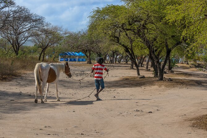 Private Tour Horseback Riding and Beach in St Lucia - Booking Details