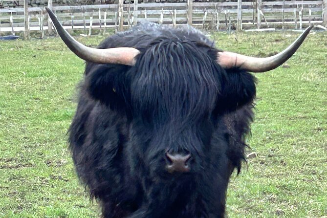 Private Tour of the Highlands, Glencoe and Castles From Stirling - Refund Policy