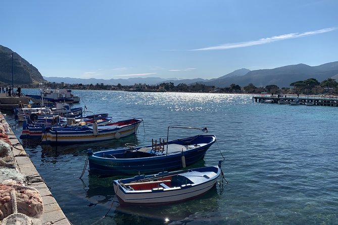 Private Transfer From Palermo Airport to Mondello or Vice Versa - Accessibility and Exclusivity Details