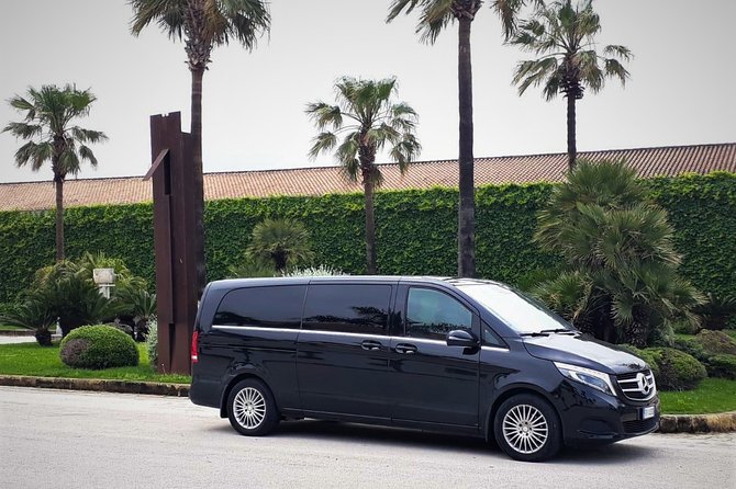 Private Transfer From Palermo Airport to NH Palermo Hotel or Vice Versa - Service Details