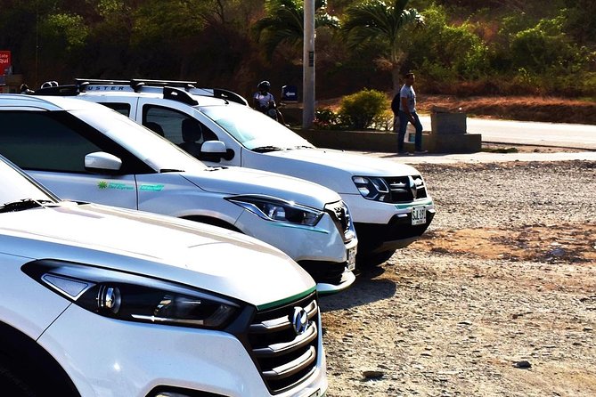 Private Transportation Service From Cartagena to Palomino - Pricing and Booking Details