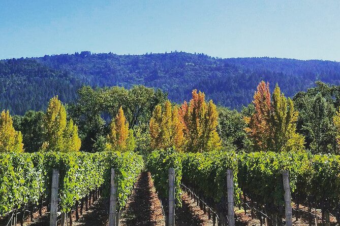 Private Wine Tour of Napa Valley - Inclusions and Experiences