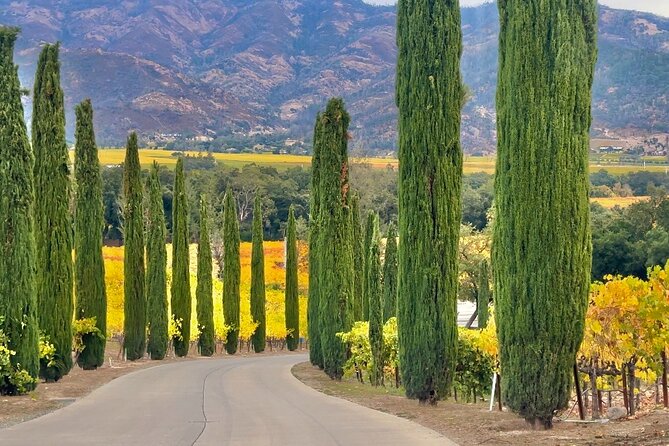 Private Wine Tour to Napa Valley - Itinerary Highlights