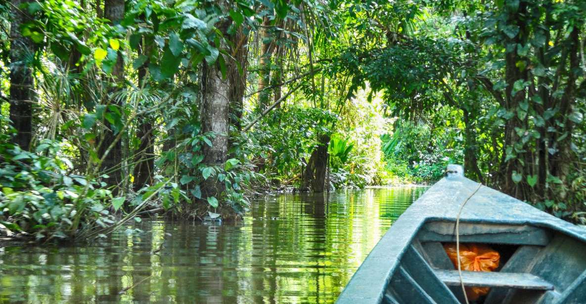 Puerto Maldonado: 2-Day Peruvian Tambopata Jungle Trip - Experience Highlights