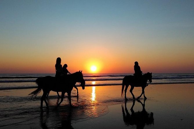Puerto Plata: Sunset Beach Horseback Riding - Pick-up Information