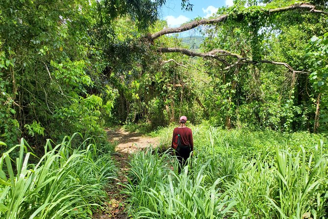 Puerto Rico Tour to El Yunque Rainforest Hiking to Waterfall - Waterfall Experience