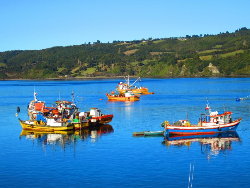 Puerto Varas: Fullday Chiloe Island Tour Castro and Dalcahue - Experience Highlights