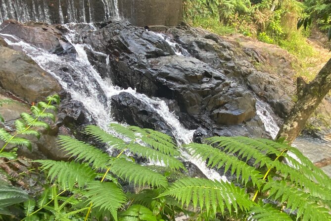 Rain Forest and Hot Springs Full-Day Private Tour San Juan - Booking Details