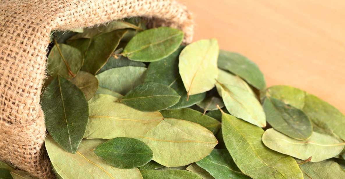 Reading Your Future in Coca Leaf in English - Booking Information