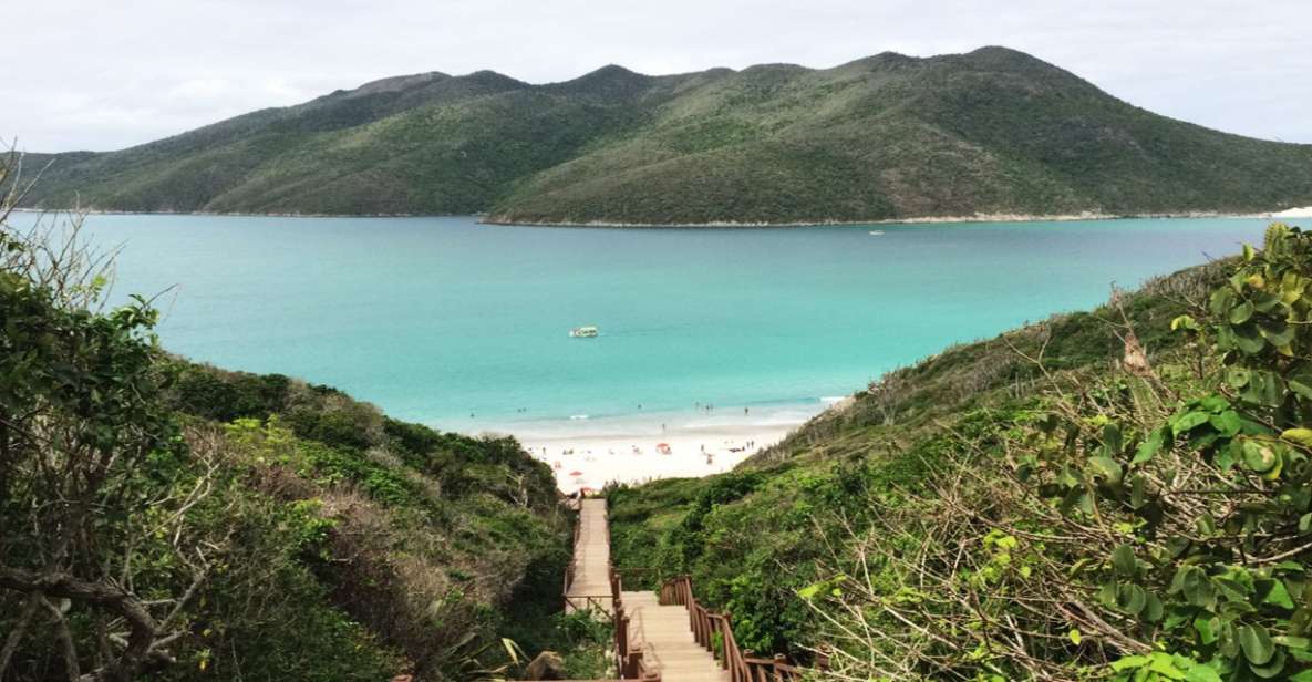 Rio De Janeiro: Arraial Do Cabo Scuba Diving Day Trip - Good To Know