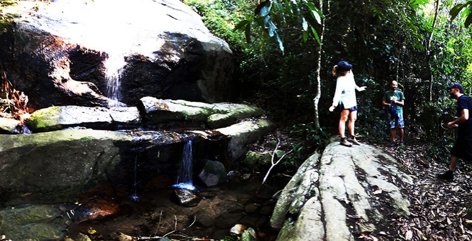 Rio De Janeiro: Christ the Redeemer Guided Hike - Itinerary Highlights